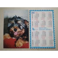 Карманный календарик . Щенок йоркширского терьера. Белпочта. 2002 год