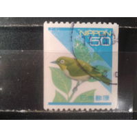 Япония, 1994. Стандарт. Японская белоглазка