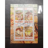 Малави. 2013 год. Флора. Грибы. Блок (1007)
