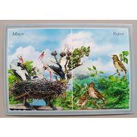 Аисты, соловьи. Открытка, глянец