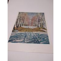 Открытка 1964г. И. Грабарь. Берёзовая аллея.