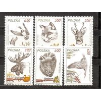 ФФ1 Польша 1981 Охота