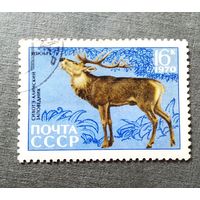 Марка СССР 1970 год Сихотэ-Алинский заповедник