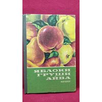 ЯБЛОКИ ГРУШИ АЙВА. Каталог