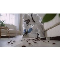 Дезинсекция, дезинфекция, унитчожение тараканов, клопов, блох и других вредителей у вас дома