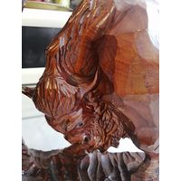 Большой Зубр СССР. См описание