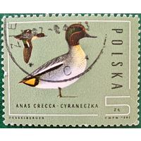 Польша 1985. Фауна. Птицы. Anas Crecca