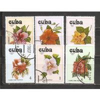 ФФ2 Куба 1978 Цветы гаш