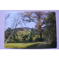 Природа; подписана, Германия, п/п 1990, марки.