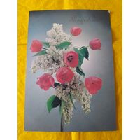 Поздравляю