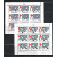 Югославия-1972,(Мих.1447-1448) , ** , Спорт, Зимняя  ОИ-1972, (полная серия), 2м/л