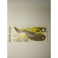 СССР 1990 год. Ископаемые животные. **чист.