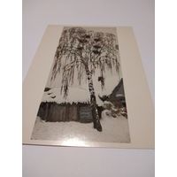 Открытка 1982г. И. Грабарь. Белая зима. Грачиные гнезда.