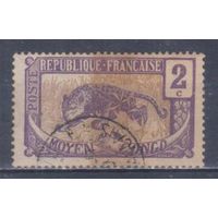 [906] Французские колонии. Среднее Конго 1907. Фауна.Леопард.2 с. Гашеная марка.