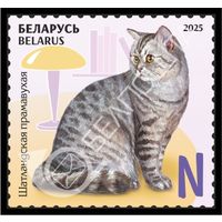 БЕЛАРУСЬ  2025  "Детская филателия. Домашние питомцы" MNH