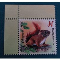 Беларусь 2021 Бельчонок