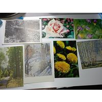 Открытки Растения , с рубля .