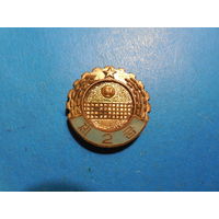 Старый значок. Волейбол.