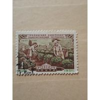 Грузинская ССР