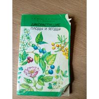 "Дикорастущие Плоды и Ягоды"\048