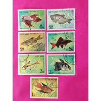 Вьетнам. Рыбы. ( 7 марок ) 1984 года. 8-20.