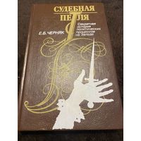 Судебная петля. Секретная история политических процессов на Западе. Е.Б. Черняк.