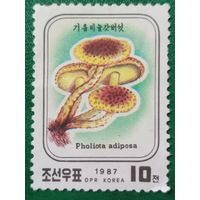 КНДР 1987. Грибы. Pholiota Adiposa. Марка из серии
