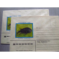 С026-0044 Конверт Чистый Аквариумные рыбы Цихлозома чернополосая 1982