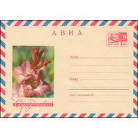 Художественный маркированный конверт СССР N 6046 (08.01.1969) АВИА  С праздником!