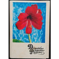 Комплект из 30 открыток (полный) Декоративные комнатные растения 1974