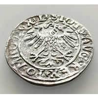 Полугрош 1558, Жигимонт Август, Вильно. Окончания легенд: Ав - L, Рв - LITVA. Коллекционное состояние