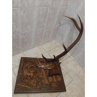 Панно с головой и рогом оленя
