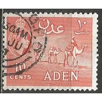 Аден. Королева Елизавета II. Караван верблюдов. 1953г. Mi#50.