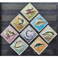 Монголия 1965г. Серия из 8 марок. Пресноводные рыбы. **