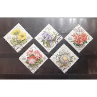 СССР. 1981 год. Флора. Цветы (212)