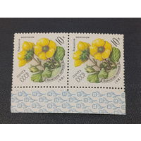 Парагеум горный. СССР 1981г. сцепка