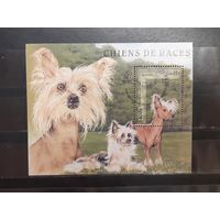 Камбоджа. 1997 год. Фауна. Собаки. Блок (799)