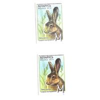 Марка  Заяц-русак