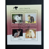 ФАУНА КОШКИ ПОРОДЫ КОШАК ЖИВОТНЫЕ     БЛОК  сто