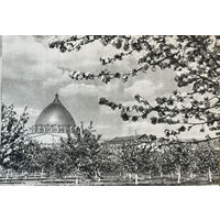 Открытое письмо Всесоюзная сельскохозяйственная выставка Мичуринский сад 1954