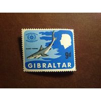 Гибралтар 1967 г.Рыбалка на акул./07а/