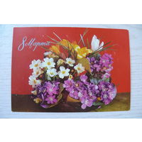 Костенко Г., 8 Марта; 1976, чистая, ДМПК.