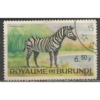Бурунди. Животный мир страны. Зебра. 1964г. Mi#95.