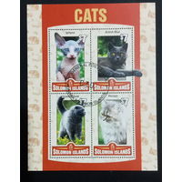 ФАУНА КОШКИ ПОРОДЫ КОШАК ЖИВОТНЫЕ     БЛОК  сто