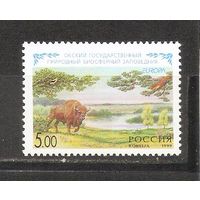 ФФ1 Россия 1999 Зубр