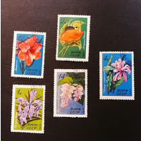 СССР 1971 г. Тропические и субтропические растения. Флора, полная серия из 5 марок #0222-Ф1P43