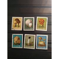 Польша 1980 г. Грибы. (Гашеная).