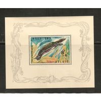 Бельгия-1965(Мих.Бл.33) , **   ,  Морская фауна, Черепаха