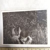 Фотография. Девушка в траве. Ретро СССР. 1970-е.