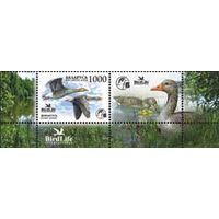 Марка "Серый гусь + купон"